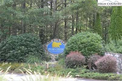 Lot #69 Bear Tracks Lane, Sparta, NC 28675 - Photo 12