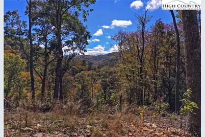 C-125 Springwater Lane, Banner Elk, NC 28604 - Photo 2