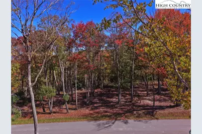 Es-24 Eagle Springs Trail, Banner Elk, NC 28604 - Photo 8