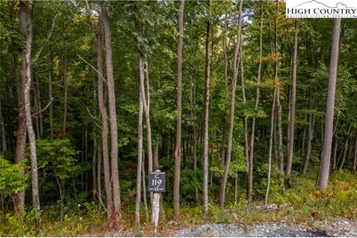 C-119 Mossy Bark Trail, Banner Elk, NC 28604 - Photo 2