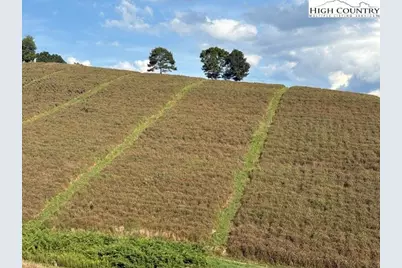 0 Tbd Topia Road, Piney Creek, NC 28663 - Photo 20