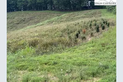 0 Tbd Topia Road, Piney Creek, NC 28663 - Photo 10