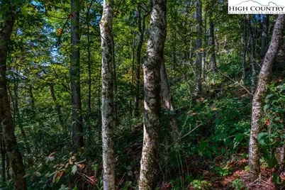 Lots 8 & 9 Rocky Top Trail, Seven Devils, NC 28604 - Photo 30