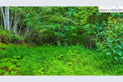 Tbd McKinley Ridge Road, Lansing, NC 28643 - Photo 6