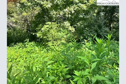 Lots 2 & 3 Old Barn Road, Vilas, NC 28692 - Photo 2