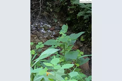 Tbd Rock Creek Road, Creston, NC 28615 - Photo 28