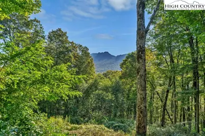 117 Ridge Drive, Linville, NC 28646 - Photo 10