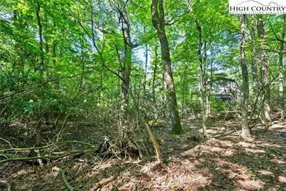 Lot 63 Galax Circle Ext., Blowing Rock, NC 28605 - Photo 14