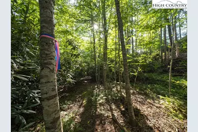 Tbd Mountain Breeze Knoll, Blowing Rock, NC 28605 - Photo 18
