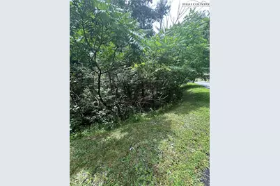 108 Falls Creek Parkway, Elk Park, NC 28622 - Photo 4