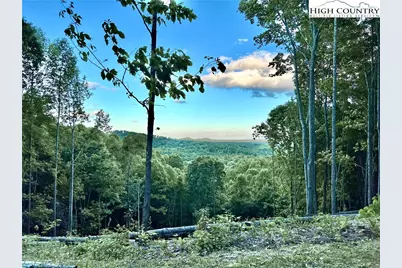 4.77 Acres, Lot 245 Johns Ridge Parkway, Lenoir, NC 28645 - Photo 6