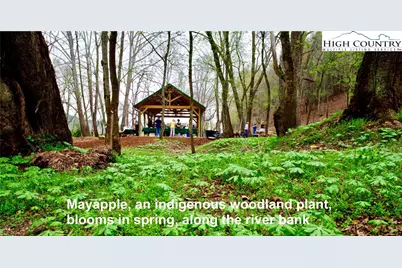 4.77 Acres, Lot 245 Johns Ridge Parkway, Lenoir, NC 28645 - Photo 22