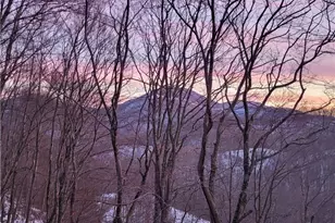 217 Rainbow Ridge Rd, Zionville, NC 28698 - Photo 8