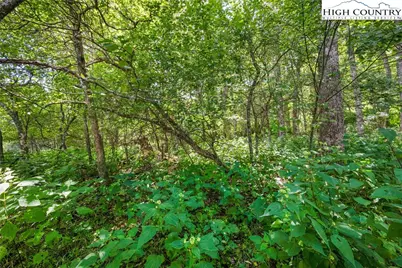 Lot 15 Boone Ridge Lane, Boone, NC 28607 - Photo 12