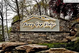 132 Sun Peaks Trl, Beech Mountain, NC 28604 - Photo 32