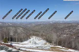 132 Sun Peaks Trl, Beech Mountain, NC 28604 - Photo 50