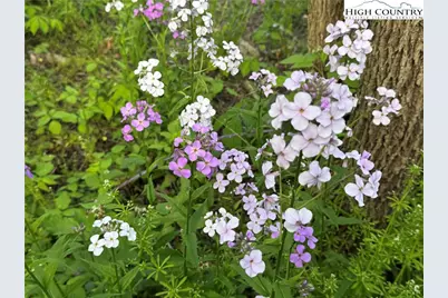 25 Reuben Wooten Road, Banner Elk, NC 28604 - Photo 44