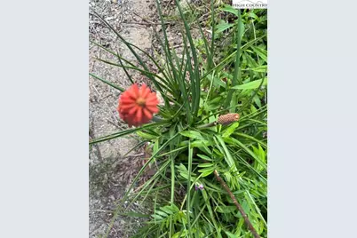 25 Reuben Wooten Road, Banner Elk, NC 28604 - Photo 34