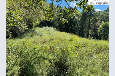 Tbd Long Branch Road, Lansing, NC 28643 - Photo 6