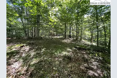 Tbd Long Branch Road, Lansing, NC 28643 - Photo 8