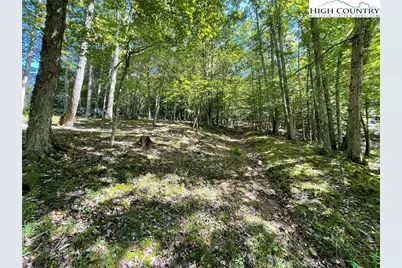 Tbd Long Branch Road, Lansing, NC 28643 - Photo 10