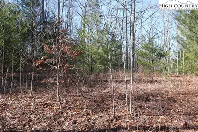 Lot 9 Clearview Ridge Road, Crumpler, NC 28617 - Photo 8