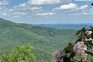 151 Cascade Dr, Purlear, NC 28665 - Photo 2