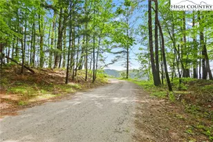 151 Cascade Dr, Purlear, NC 28665 - Photo 28