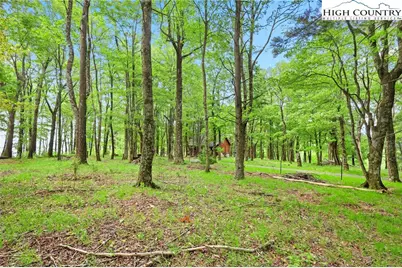 151 Cascade Drive, Purlear, NC 28665 - Photo 34