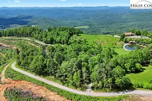 151 Cascade Dr, Purlear, NC 28665 - Photo 40