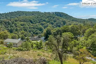 393 Carter Miller Rd, Todd, NC 28684 - Photo 8