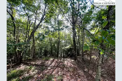 315 Pinnacle Ridge Road, Beech Mountain, NC 28604 - Photo 2