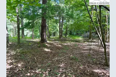 Tbd Lot #6 Mystery Mountain Drive, West Jefferson, NC 28694 - Photo 10