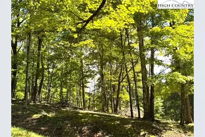 Tbd Lot #6 Mystery Mountain Drive, West Jefferson, NC 28694 - Photo 8