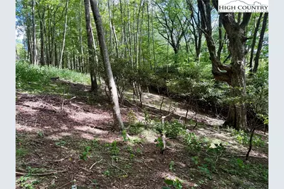 Tbd Lot #6 Mystery Mountain Drive, West Jefferson, NC 28694 - Photo 14