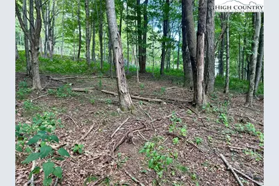 Tbd Lot #6 Mystery Mountain Drive, West Jefferson, NC 28694 - Photo 12