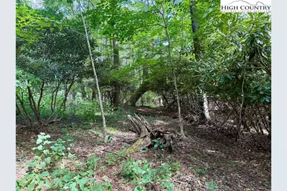 Tbd Lot #6 Mystery Mountain Drive, West Jefferson, NC 28694 - Photo 16
