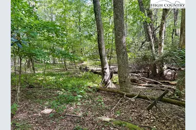 Tbd Lot #6 Mystery Mountain Drive, West Jefferson, NC 28694 - Photo 18
