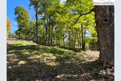 Tbd Lot #6 Mystery Mountain Drive, West Jefferson, NC 28694 - Photo 4