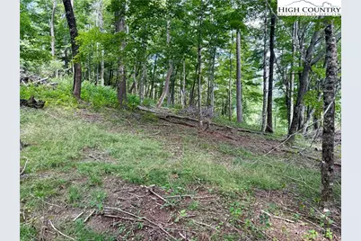 Tbd Lot #5 Mystery Mountain Drive, West Jefferson, NC 28694 - Photo 4