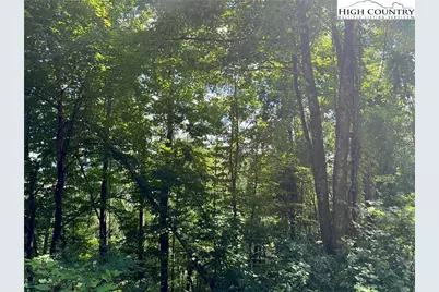 Tbd Lot #5 Mystery Mountain Drive, West Jefferson, NC 28694 - Photo 6