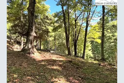 Tbd Mystery Mountain Drive, West Jefferson, NC 28694 - Photo 6