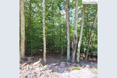 201 Jackpine Road, Beech Mountain, NC 28604 - Photo 8