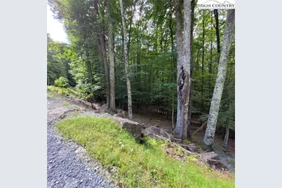 201 Jackpine Road, Beech Mountain, NC 28604 - Photo 10