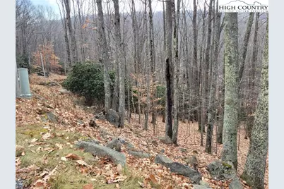 201 Jackpine Road, Beech Mountain, NC 28604 - Photo 4