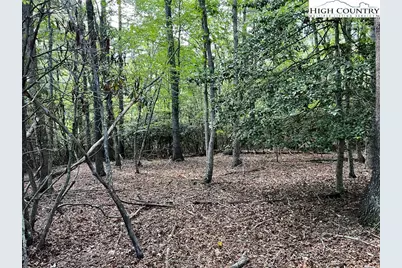 Tbd (Lot 34) Fox Crest Overlook, Laurel Springs, NC 28644 - Photo 20