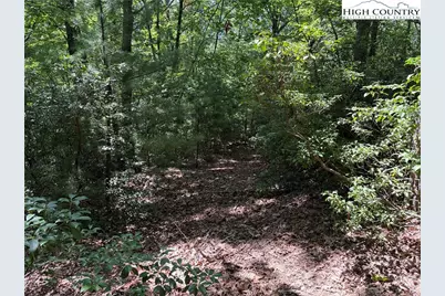 Lot 102 & 103 Hickory Hollow Road, Purlear, NC 28665 - Photo 6