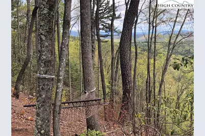Lot 102 & 103 Hickory Hollow Road, Purlear, NC 28665 - Photo 28