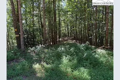 Lot 102 & 103 Hickory Hollow Road, Purlear, NC 28665 - Photo 12