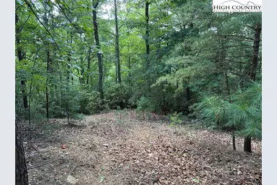 Lot 102 & 103 Hickory Hollow Road, Purlear, NC 28665 - Photo 4